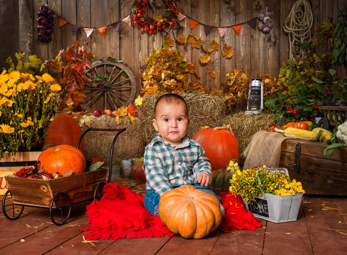 Autumn Hay Pumpkins Photography Backdrop SH-1008