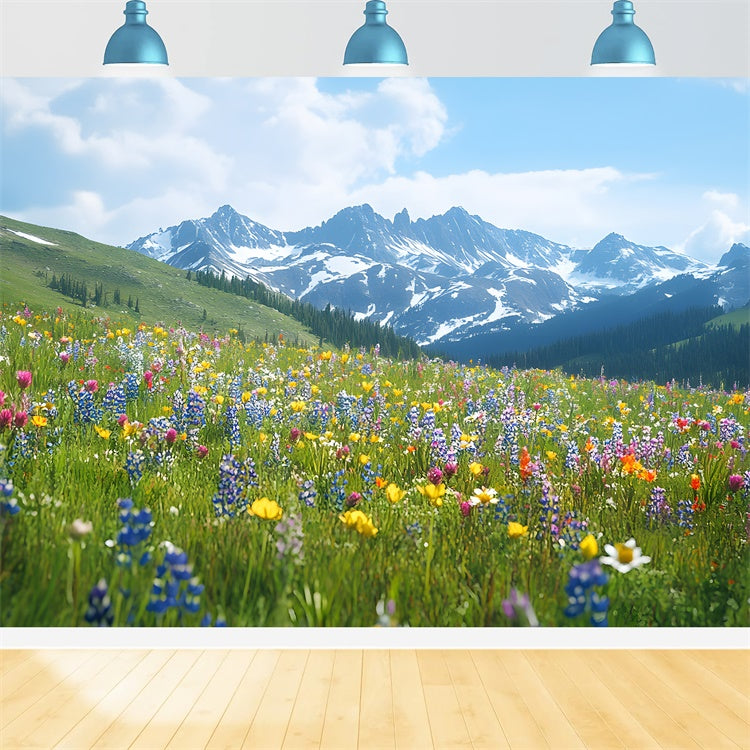 Spring Backdrops Wildflower Meadow Mountain View Backdrop TWW2-32