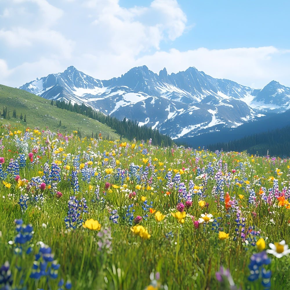 Spring Backdrops Wildflower Meadow Mountain View Backdrop TWW2-32