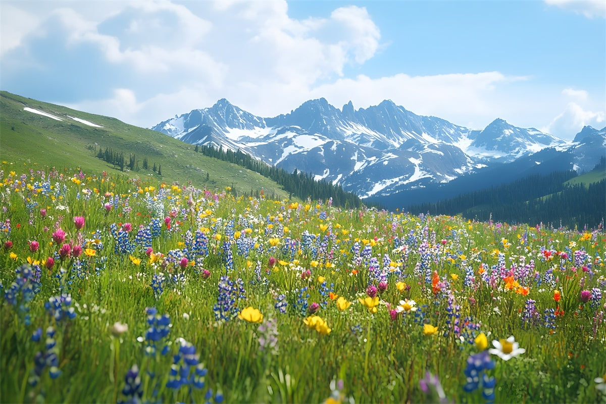 Spring Backdrops Wildflower Meadow Mountain View Backdrop TWW2-32