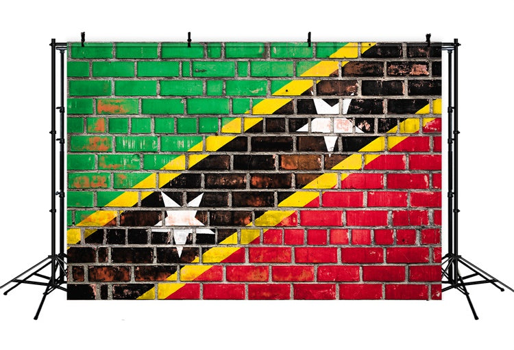 Juneteenth Photo Backdrop Painted Brick Wall Flag Backdrop XY2-25