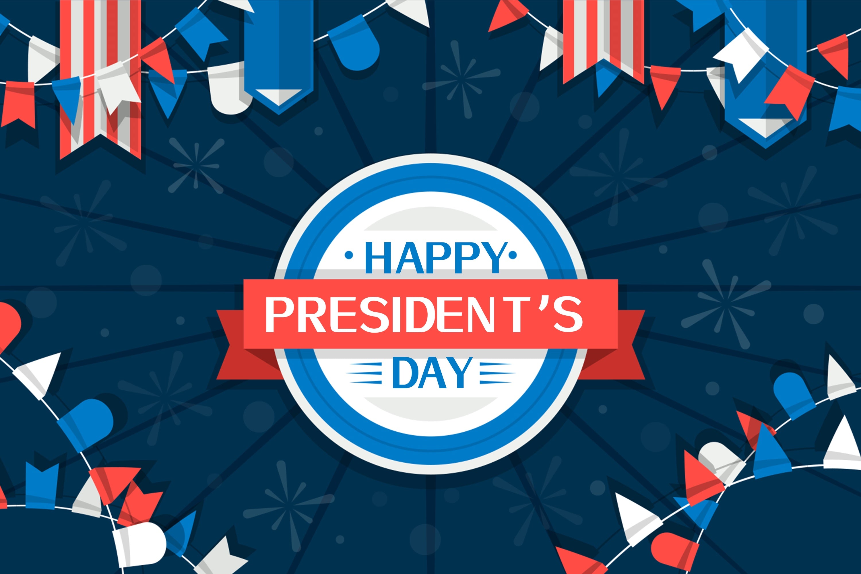 Presidential Backdrop Happy President's Day Festive Flags Backdrop XY2-49