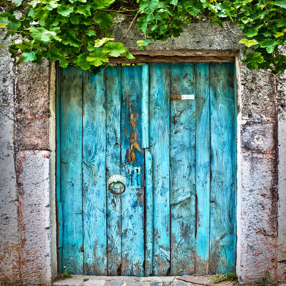 Blue Vintage Door Green Plants Photo Booth Backdrop ZH-48