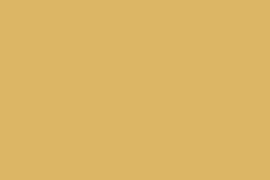 Solid Color Backdrop Gold Photo Studio Background SC17