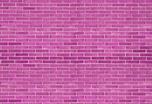 Dark Pink Brick Wall Photography Backdrop D1041 – Dbackdrop