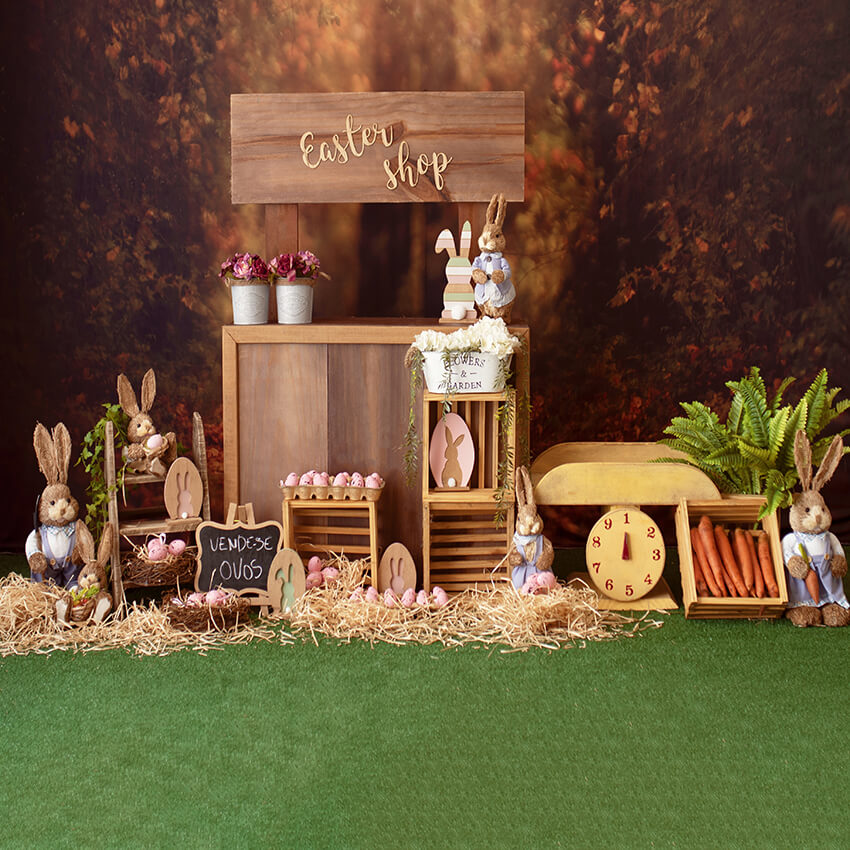 Easter Shop Bunny Egg Photo Studio Backdrop D1059