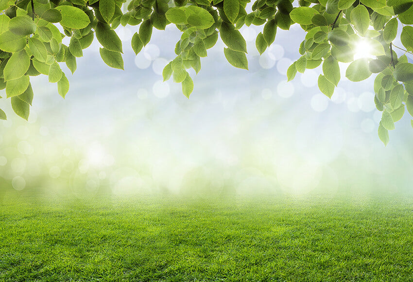 Spring Leaves Grass Sunshine Bokeh Backdrop 