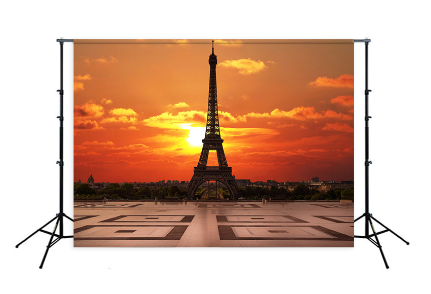 Eiffel Tower Beautiful Sunset Paris City Backdrop for Photography D123