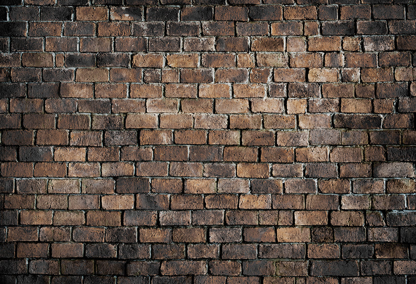 Old Brick Wall Textured Backdrop for Photography D137