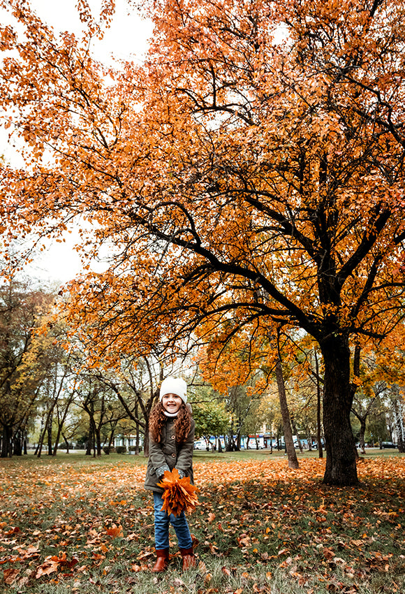 Autumn Forest Yellow Leaves Photography Backdrop D348