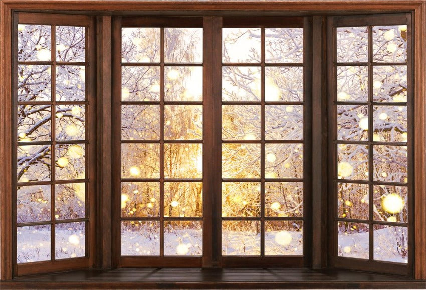 Winter Snow Scene Window Photography Backdrop 