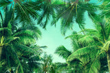 Palm Leaves Summer Photography Backdrop