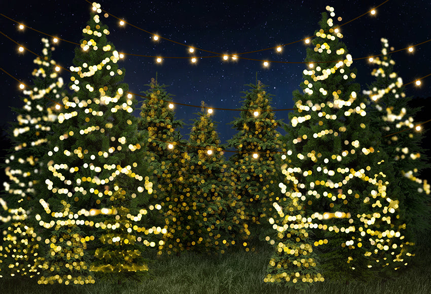 Night Twinkle Christmas Farm Photo Booth Backdrop