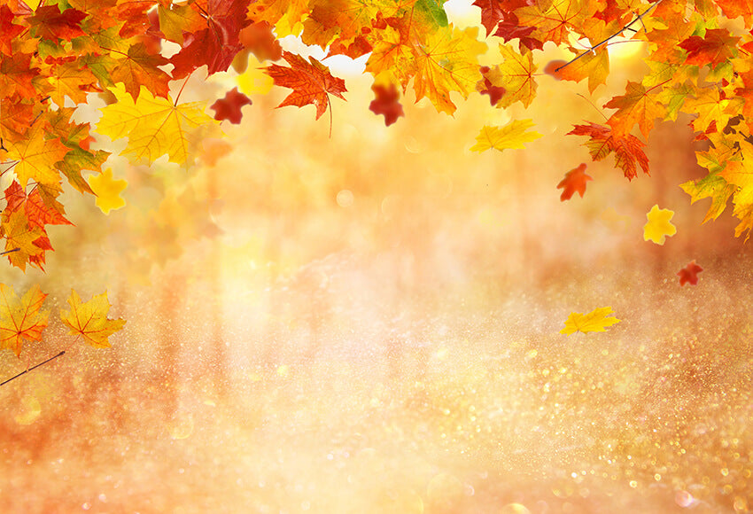 Autumn Photography Backdrop Fall Leaves