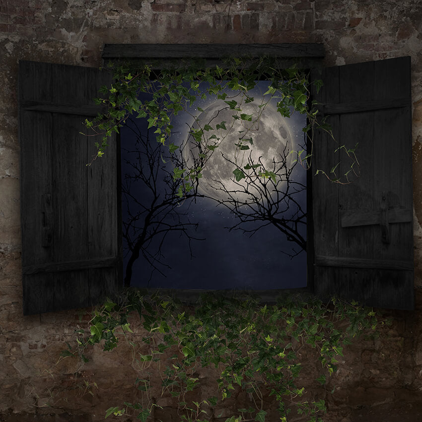 Halloween Backdrop Window Moon Scene for Photo Shoot