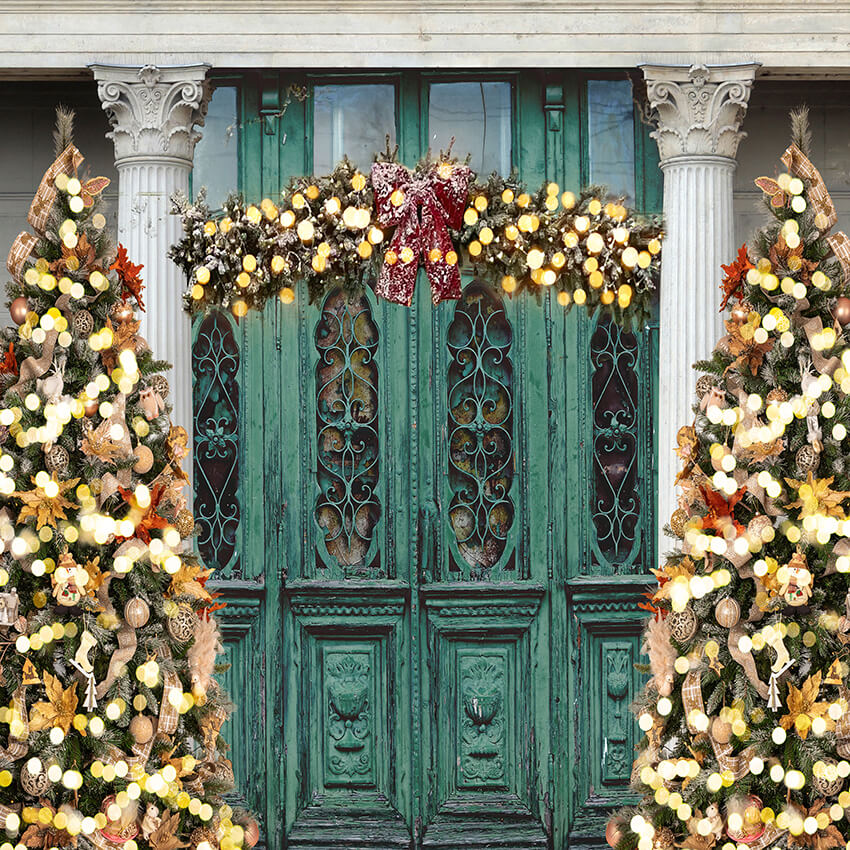 Vintage Door Christmas Tree Photography Backdrop D904