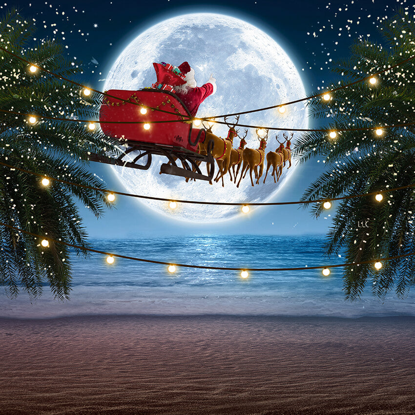 Seaside Tropical Tree Santa Christmas Backdrop D914