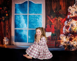 Christmas Moon And Reindeer Outside Window Backdrops for Photography DBD-19206