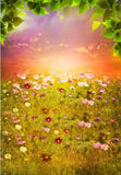 Beautiful Flowers Sunset Photography Backdrop F-2332