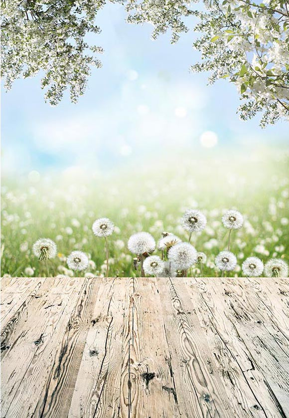 Dandelion Wood Floor Bokeh Photography Backdrop F-2335