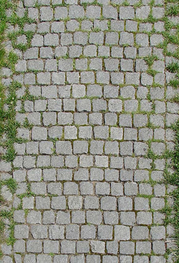 Stone Pathway With Grass Backdrop for Photo Studio Floor-383 – Dbackdrop