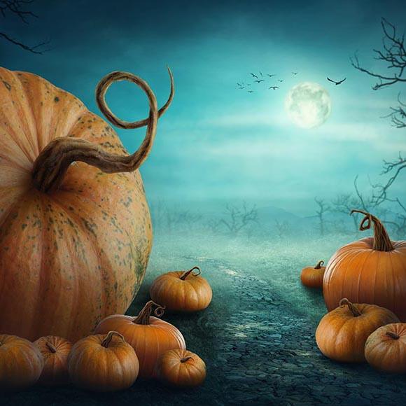 Halloween Huge Pumpkin Photo Booth Backdrop G-028