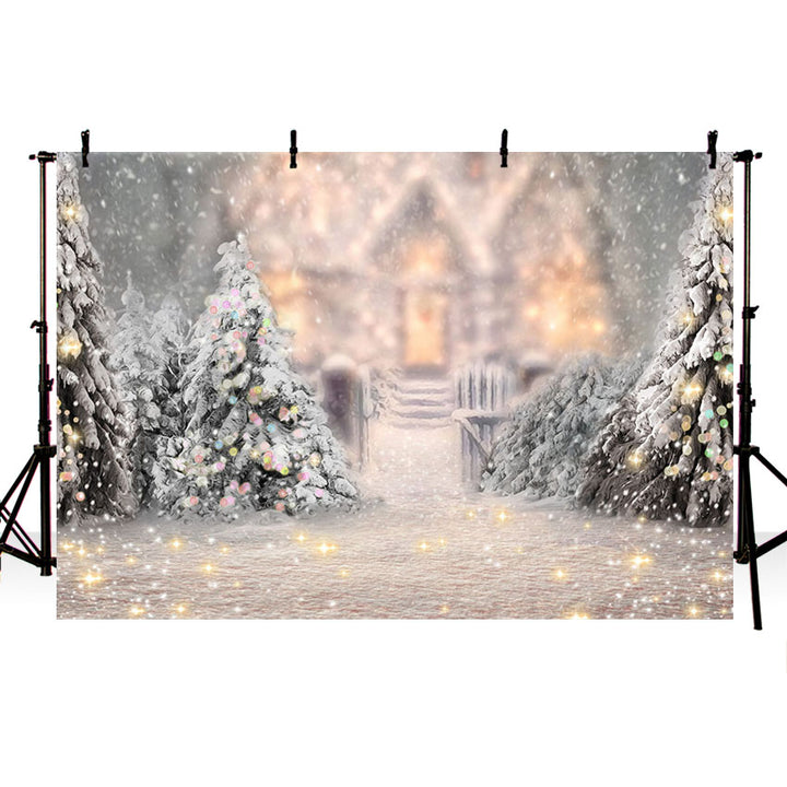 Winter Snow Backdrops for Photography-Dbackdrop