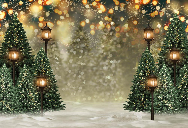 Outdoor Christmas Trees Lights Flashing Backdrop G-1440 – Dbackdrop