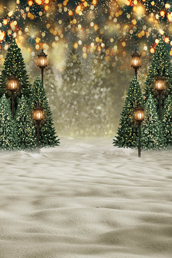 Christmas Trees Outdoor Backdrops Snowy Background for Photo Shoot G-1441