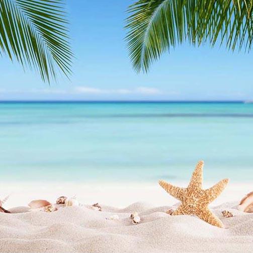  Beach Backdrop Ocean Blue Sky Starfish Summer Backdrop G-228