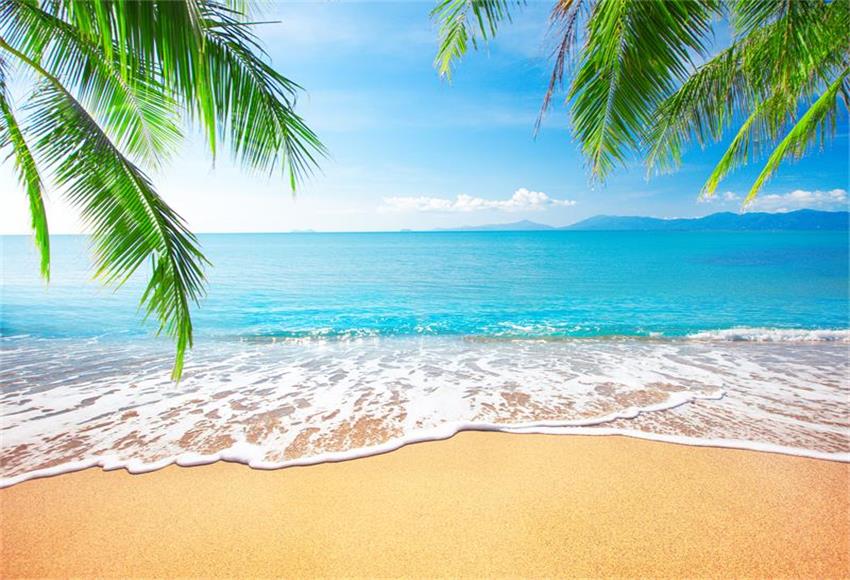 Summer Sea Beach Scenic Photo Backdrops