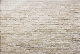 Vintage Brick Wall Seamless Photography Backdrops for Studio G-32