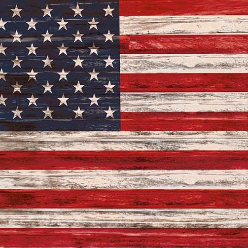 4th of July American Flag Independence Day Backdrop for Photography G-341