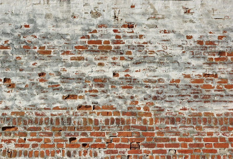 Weathered Concrete Brick Wall Photography Backdrop Gc-40 – Dbackdrop