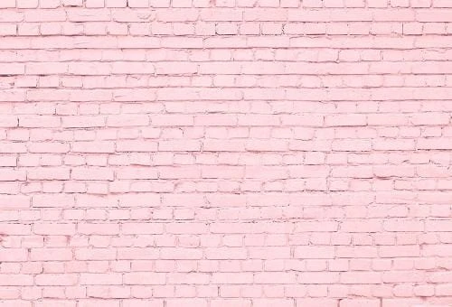 Pink Brick Wall Photography  Backdrop  G-41