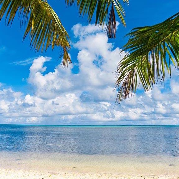  Beach Blue Ocean  Sky Photography Backdrop 