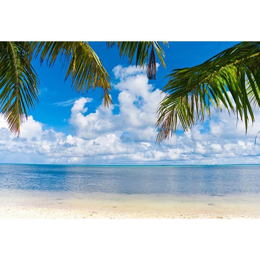  Beach Blue Ocean  Sky Photography Backdrop 