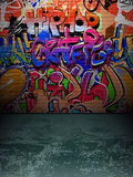 Graffiti Colorful Brick Wall Photo Studio Backdrop G-51