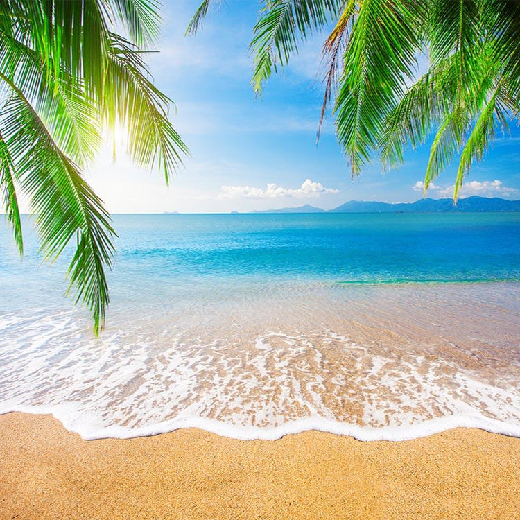Summer Sea Beach Coconut Plam Photography Backdrop G-510 – Dbackdrop
