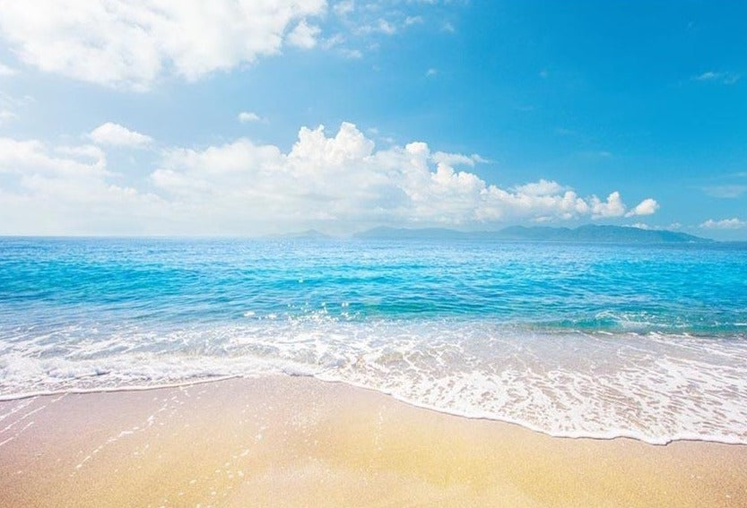 Sandy Beach Ocean Sky Photography Backdrop G-562