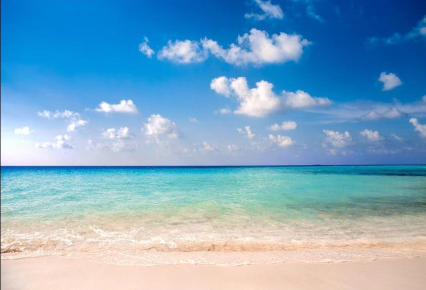 Beach Ocean Blue Sky Summer Holiday Photography Background G-584