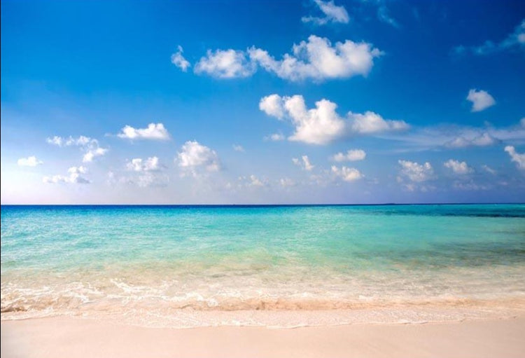 Beach Ocean Blue Sky Summer Holiday Photography Background G-584 ...