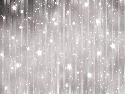 Shiny Grey Stars Glitter Photo Studio Backdrop GC-105