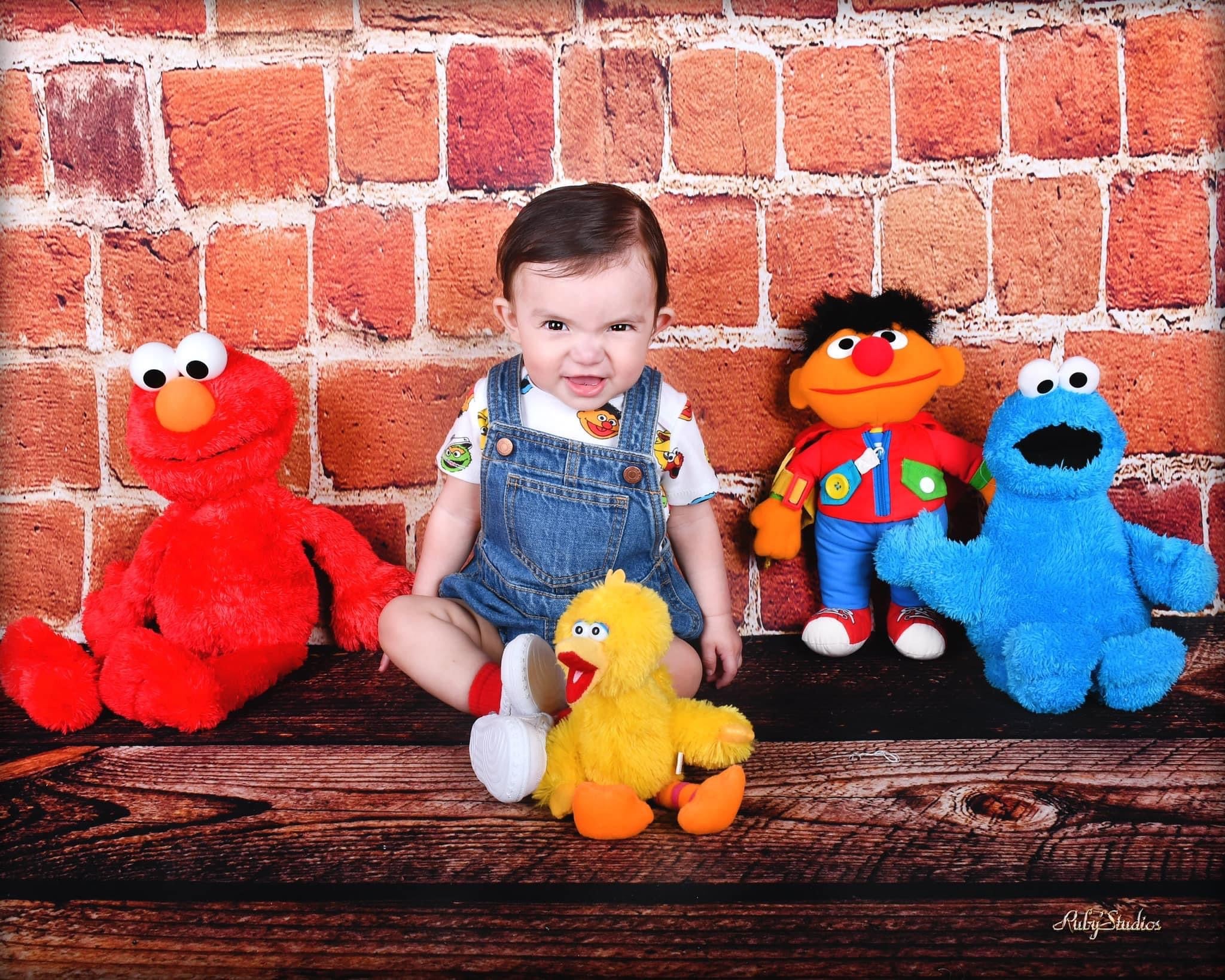 Red Brick Wall Retro Backdrop for Photography GC-49