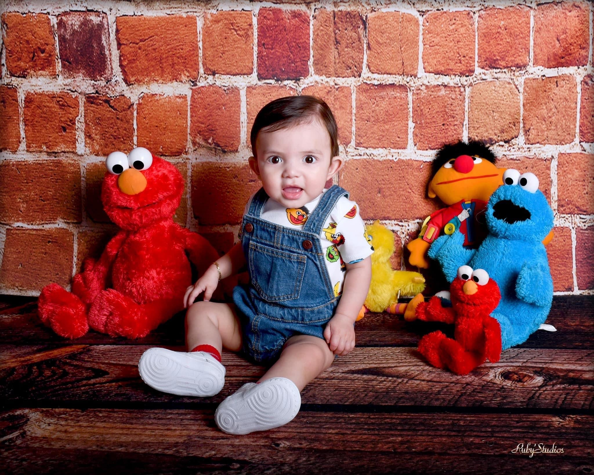 Red Brick Wall Retro Backdrop for Photography GC-49