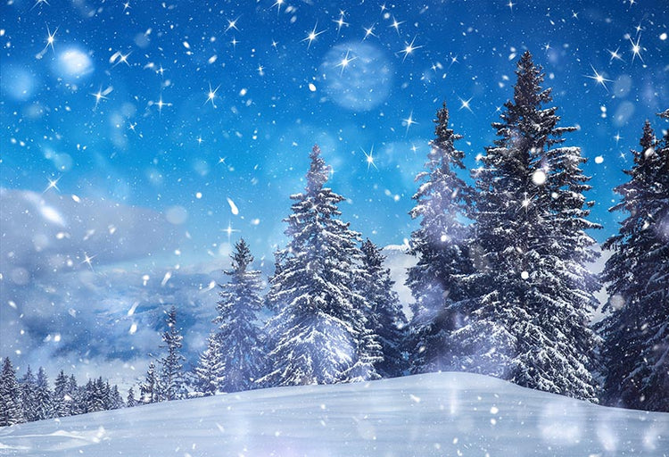 Beautiful Blue Sky Winter Snow Christmas Trees Backdrop GX-1076 – Dbackdrop