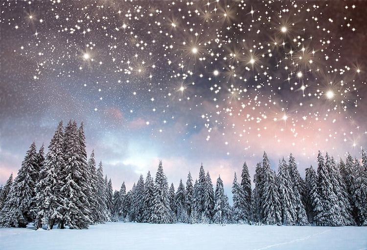 Shining Stars Winter Christmas Trees Backdrop For Photography Gx-1080 