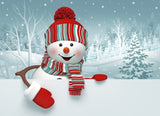 Winter Backdrops Snowman Background Snowy Backdrop HJ02698