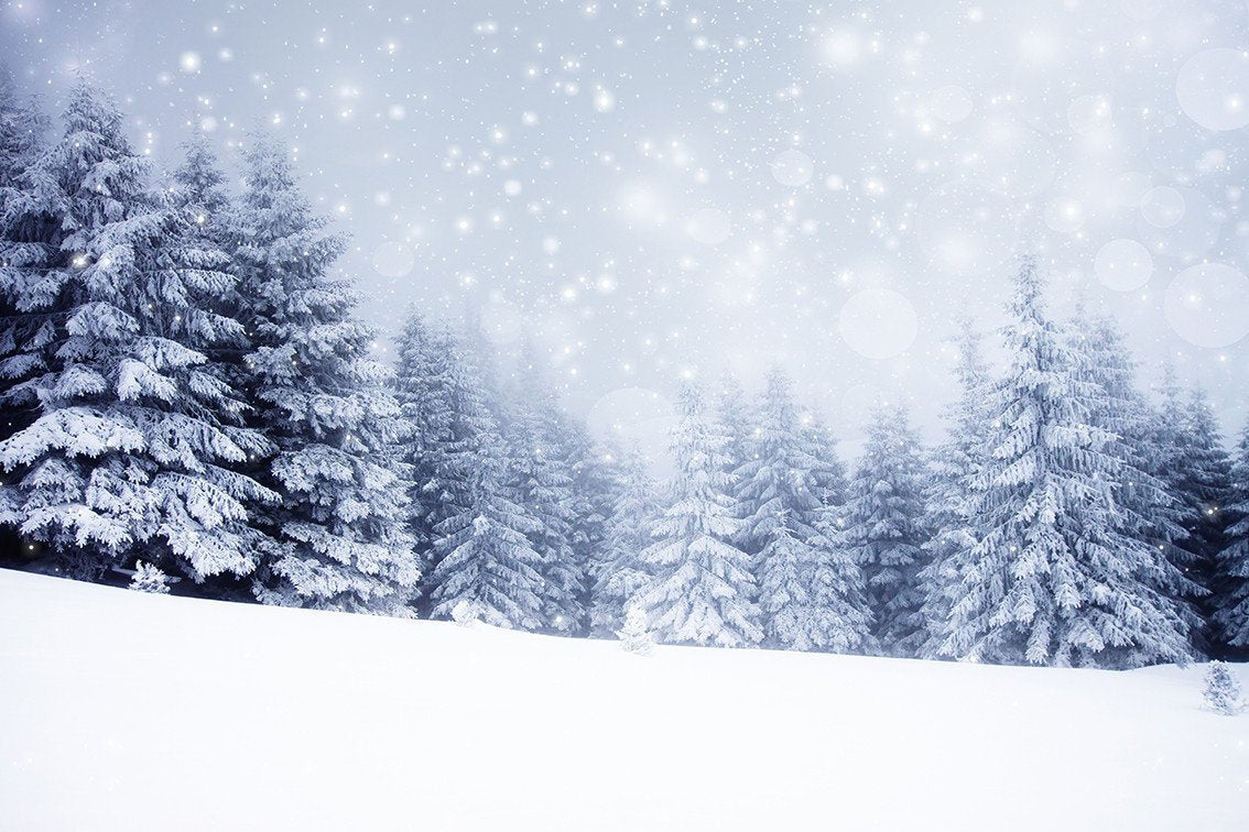 Winter Backdrops Snowy Backdrop Pine Background HJ02699