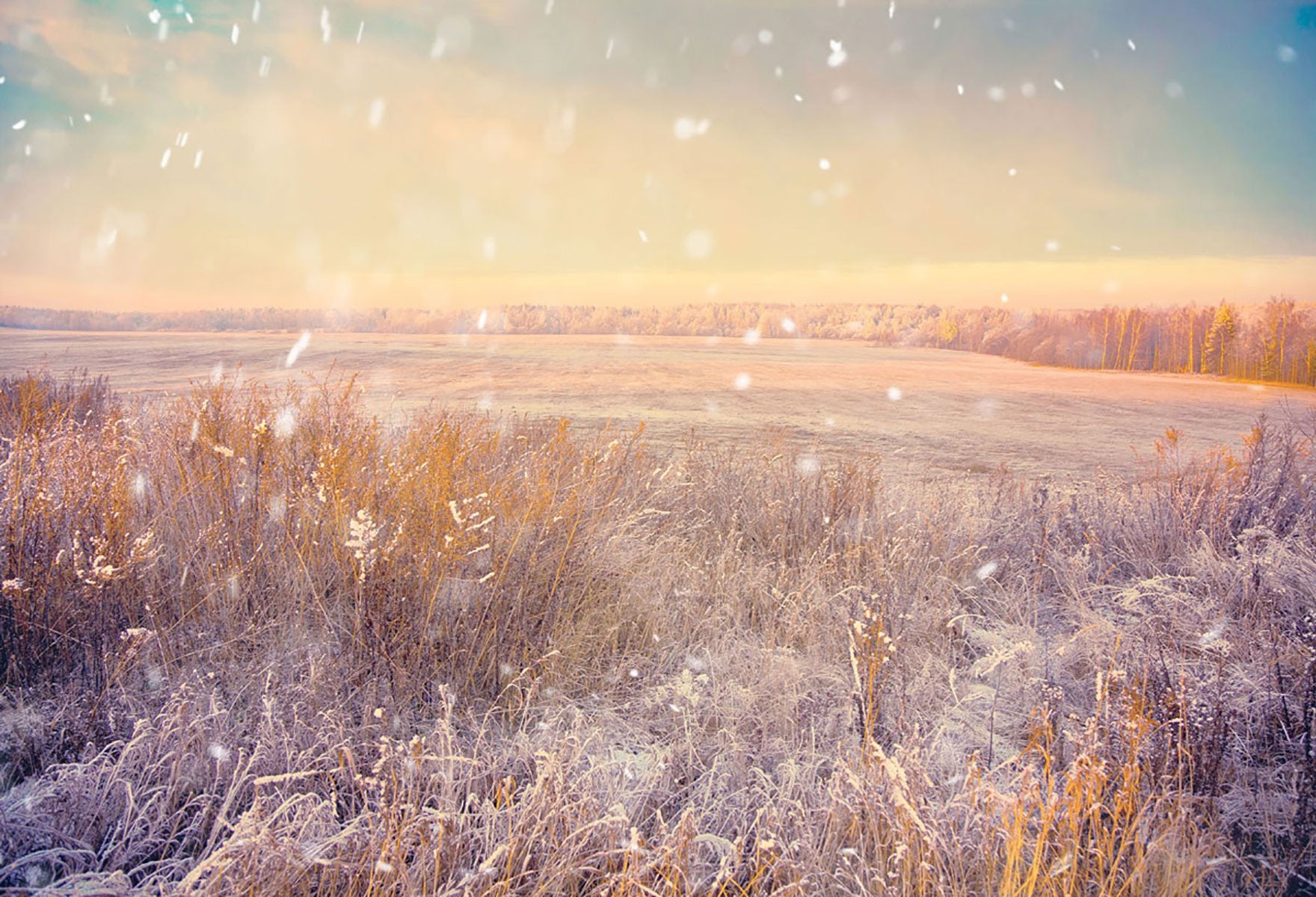 Season Backdrops Winter Backdrops Snowy Backgrounds